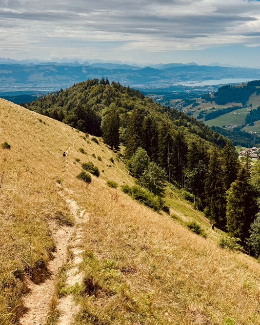 Carac-Hike, bénévolat et rencontres : ces mois qui ont tout changé