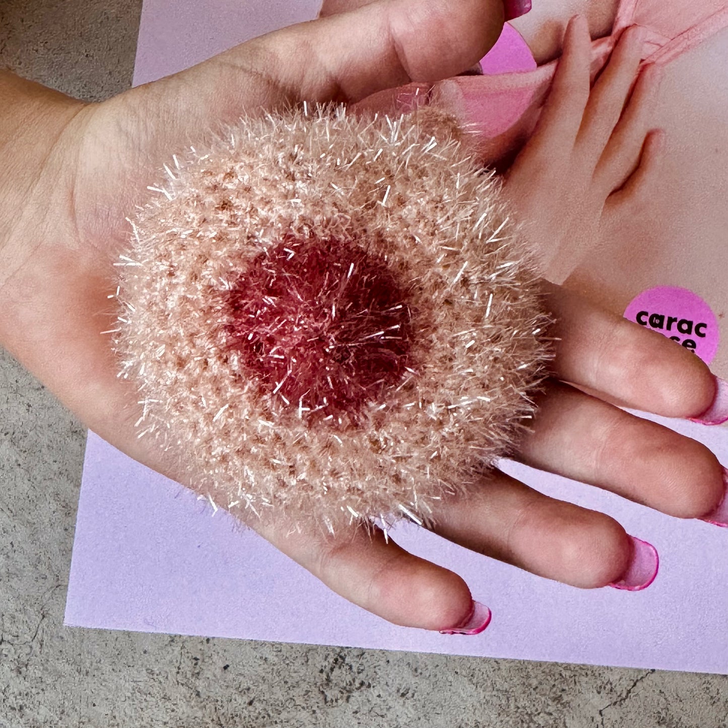 Eponge B(•)(•)BS - EDITION LIMITEE « Le Carac Rose »